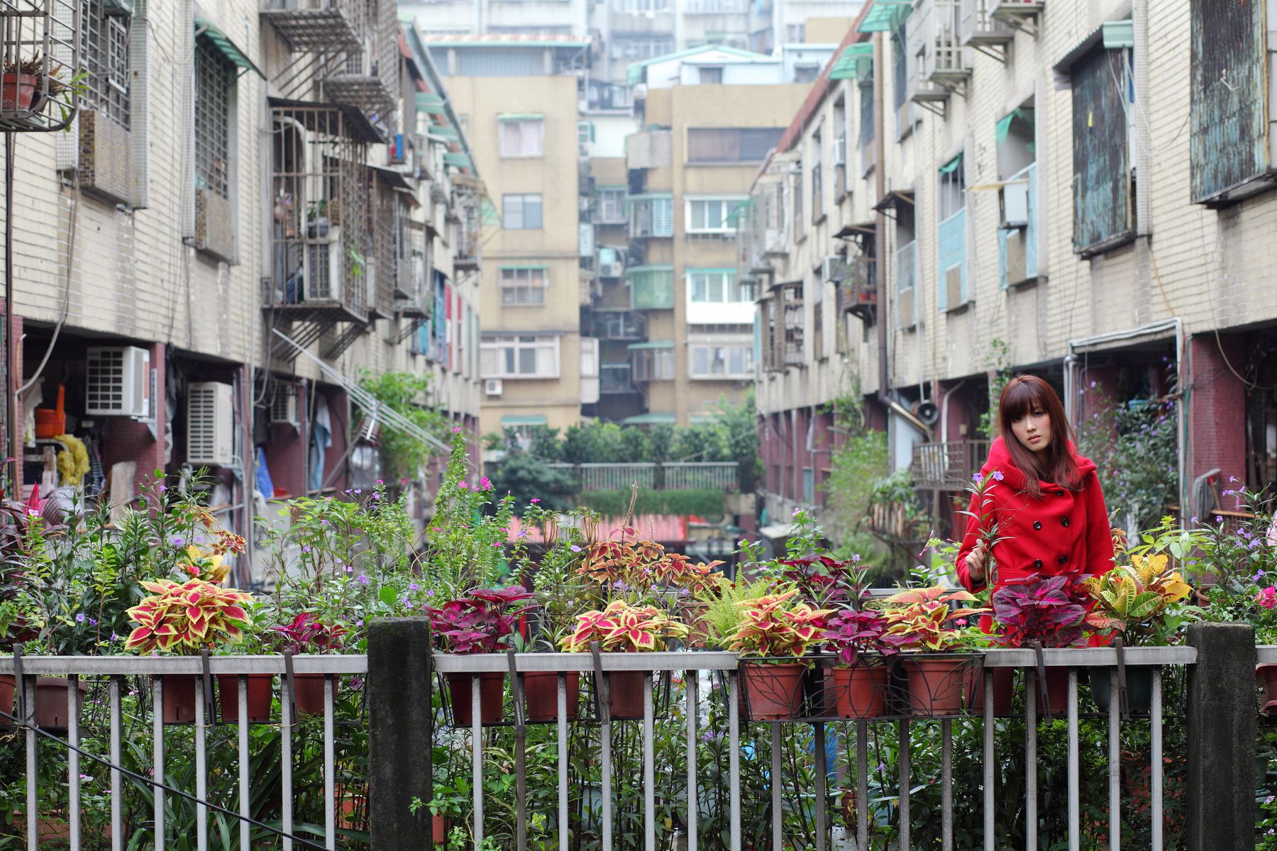 台湾女神Kila晶晶 - 街拍系列写真