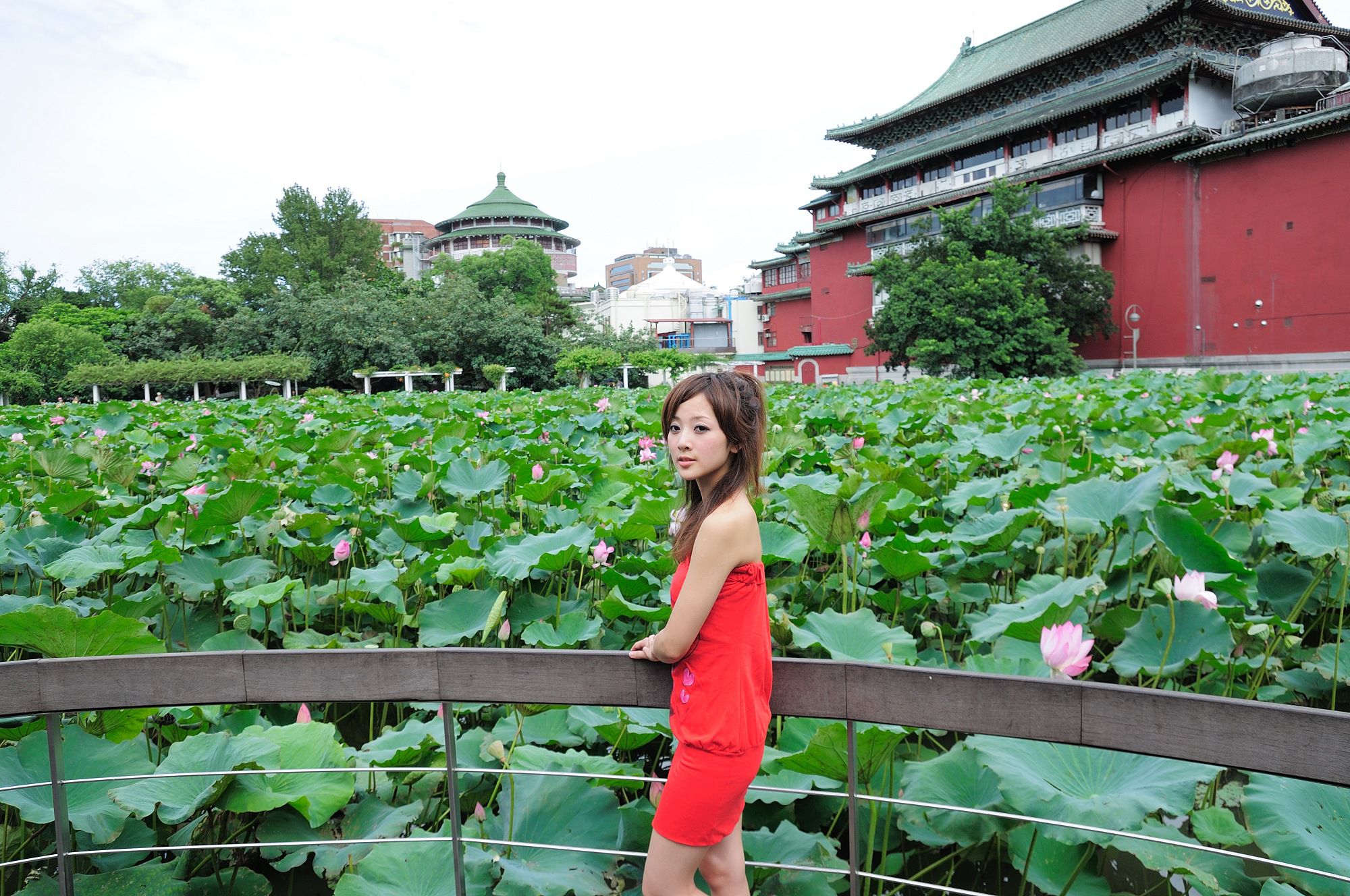 台湾美女果子MM - 植物園+中正紀念堂摄影写真套图