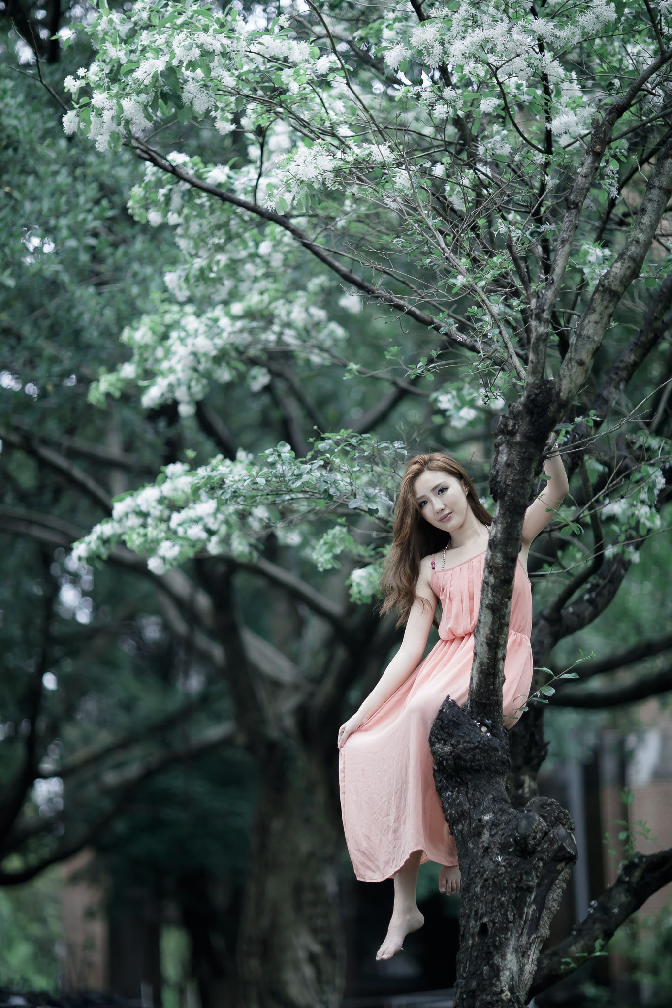 台湾时尚女神-趙芸@至善園写真集