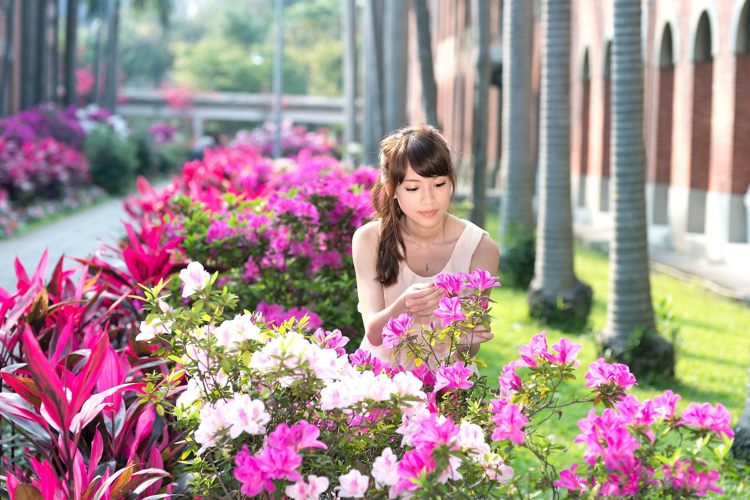 台湾甜美妹子 - 清纯写真合集