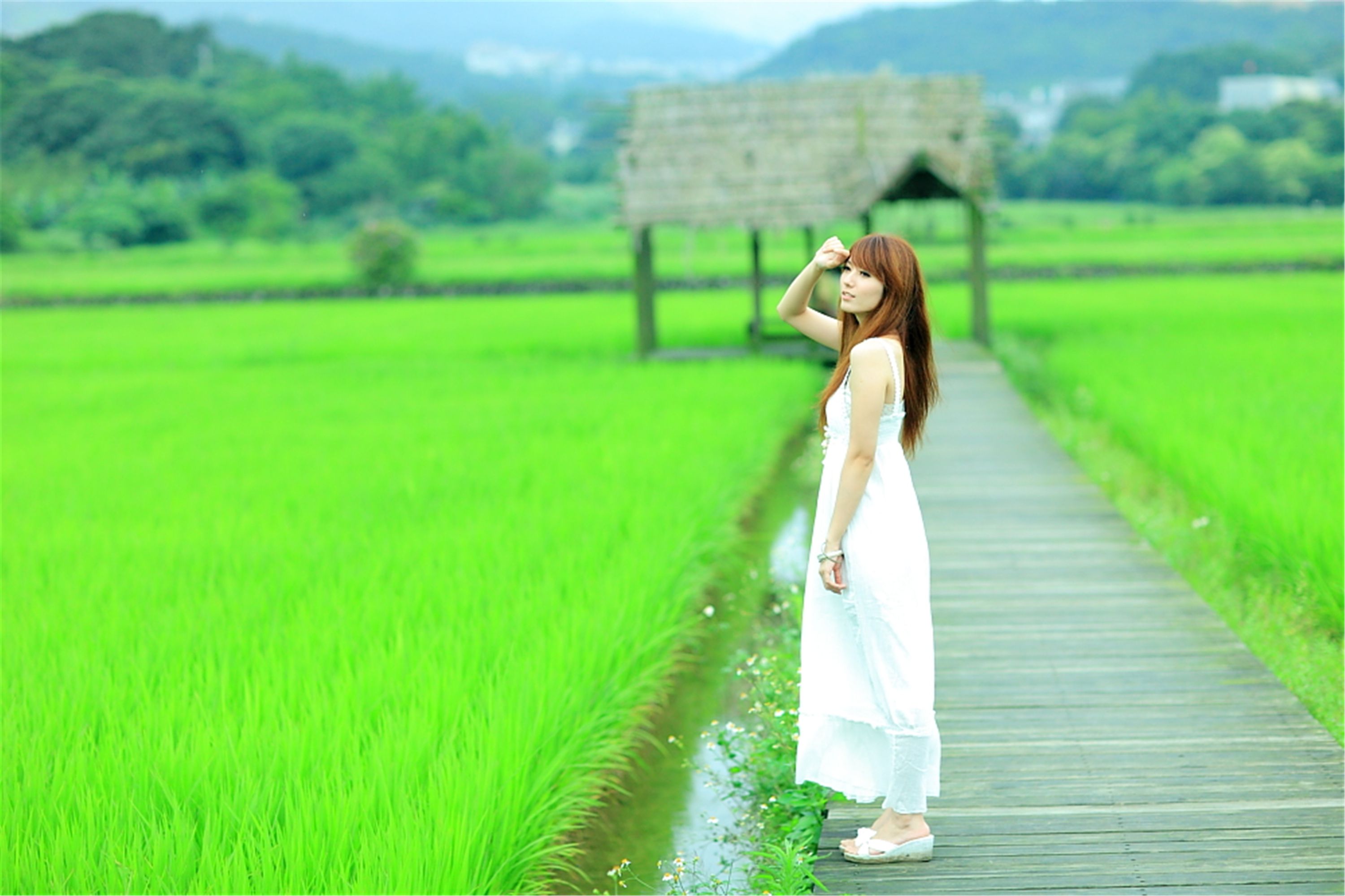 [台湾美女] 小静 - 农场初夏田园风光写真套图