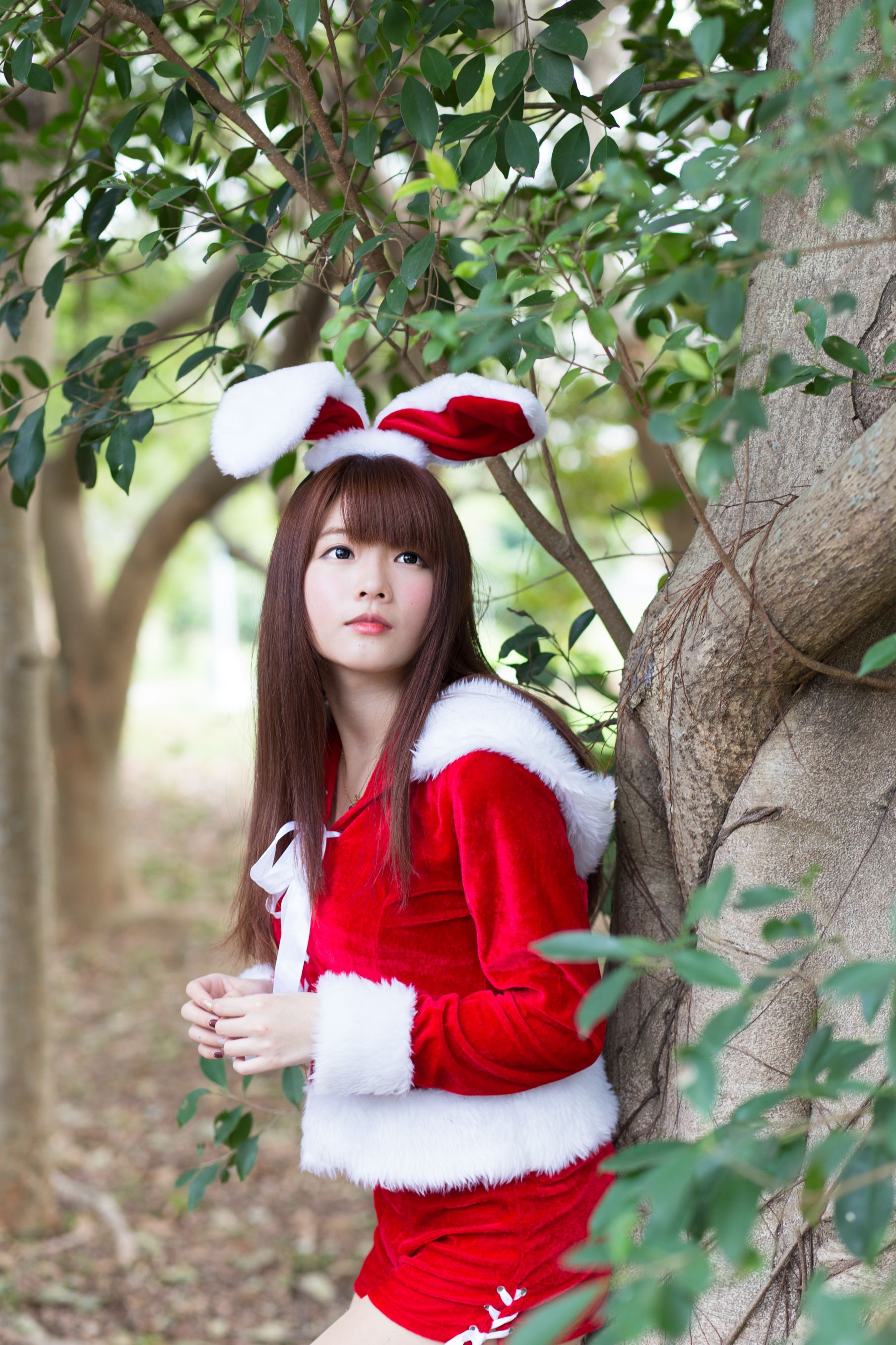台湾圣诞美女写真图片合辑(多名出镜模特)