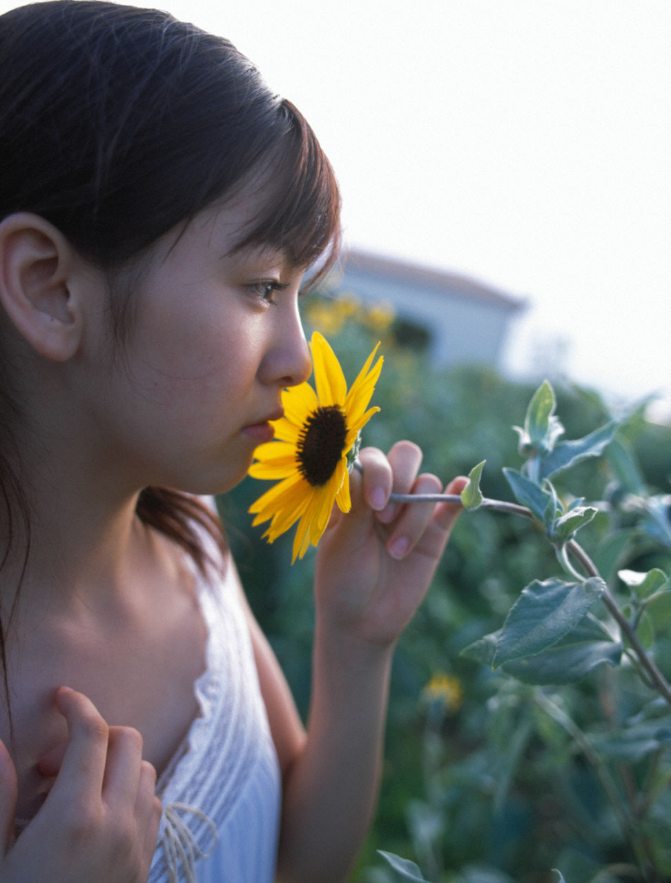 [Hello! Project digital books] No.34 菅谷梨沙子 Sugaya Risako 写真集